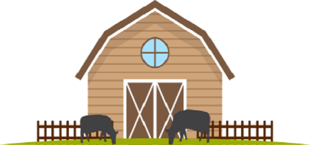 Market Trending News - Fractovia.org