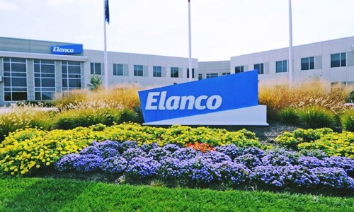 Eli Lilly to spin off its Greenfield-based animal health arm, Elanco 