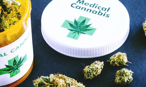 Zelda Therapeutics partners with German medical cannabis group
